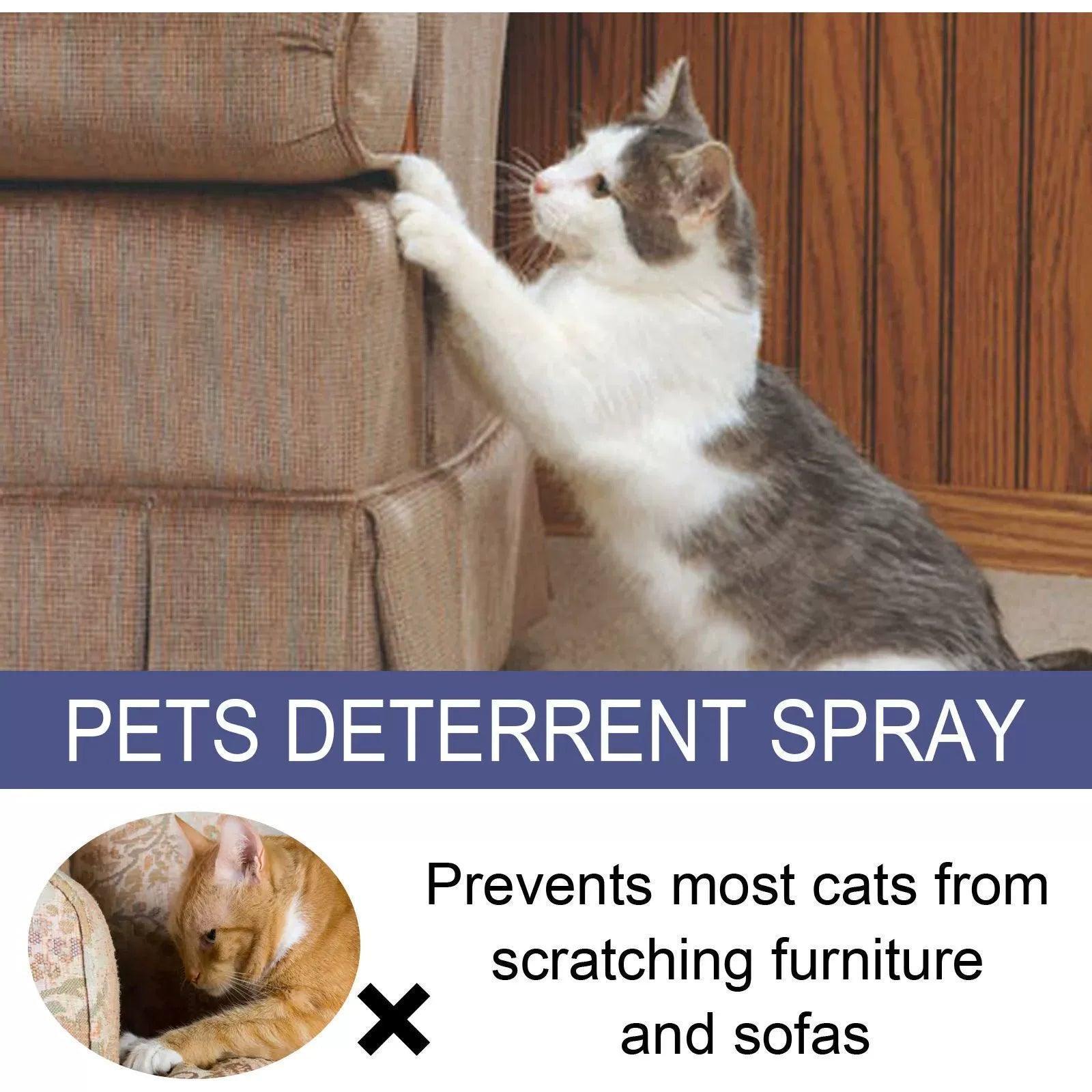 Pet Scratch Deterrent Spray 50ml - Anti-Scratch Protection for Furniture & Sofas - ClubOn