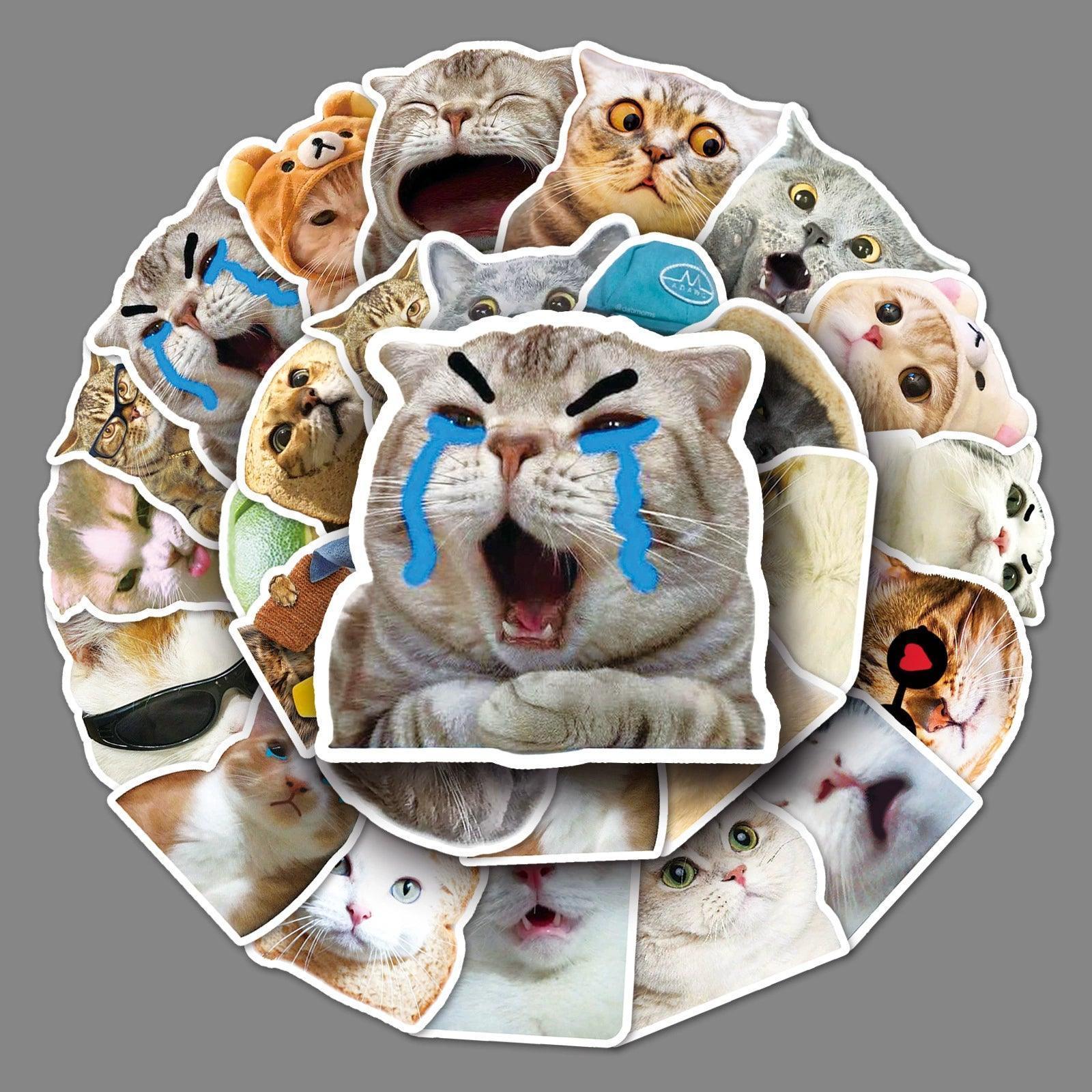 Funny Cute Cat Meme Stickers - Kid Toy for Scrapbooking and Notebooks - ClubOn