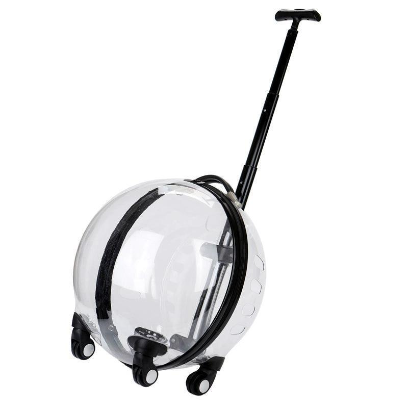 Transparent Capsule Pet Travel Trolley – For Puppies, Dogs & Cats - ClubOn