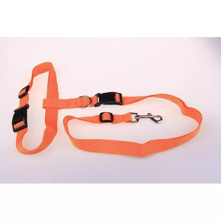Adjustable Running Pet Traction Rope – Outdoor Dog Training Leash - ClubOn