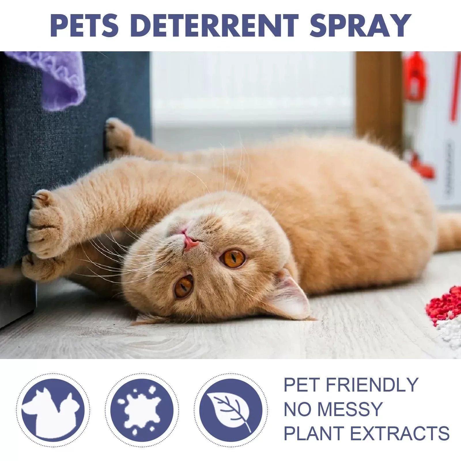 Pet Scratch Deterrent Spray 50ml - Anti-Scratch Protection for Furniture & Sofas - ClubOn