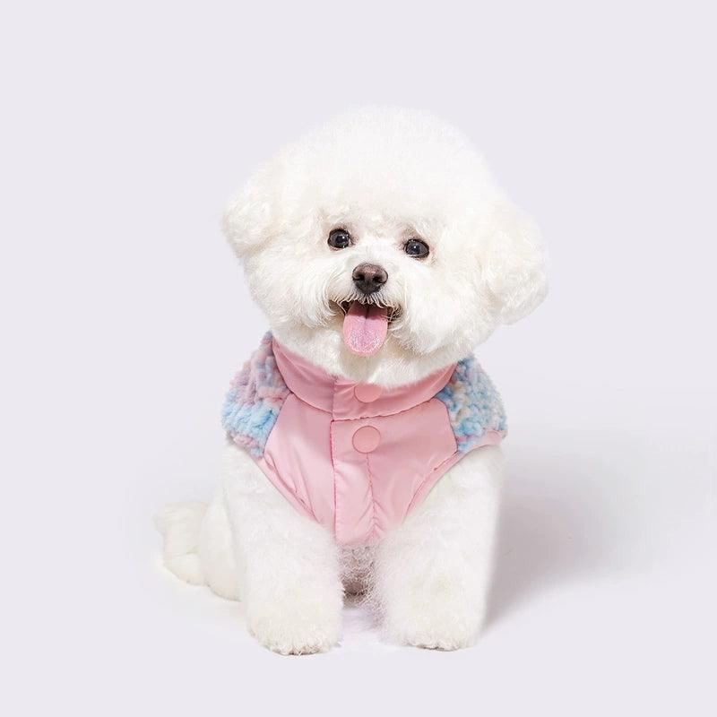 Autumn & Winter Cotton Dog Clothes for Small Breeds – Yorkshire, Bichon, Teddy - ClubOn