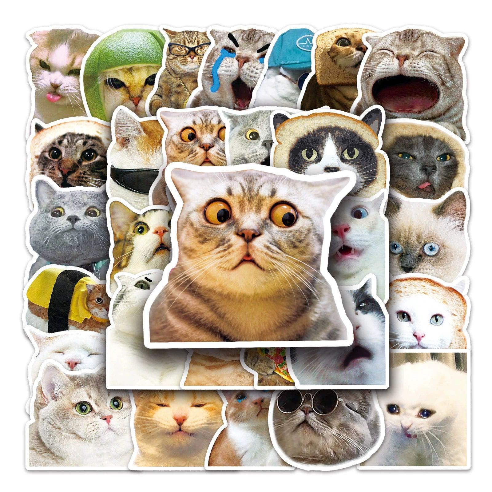 Funny Cute Cat Meme Stickers - Kid Toy for Scrapbooking and Notebooks - ClubOn