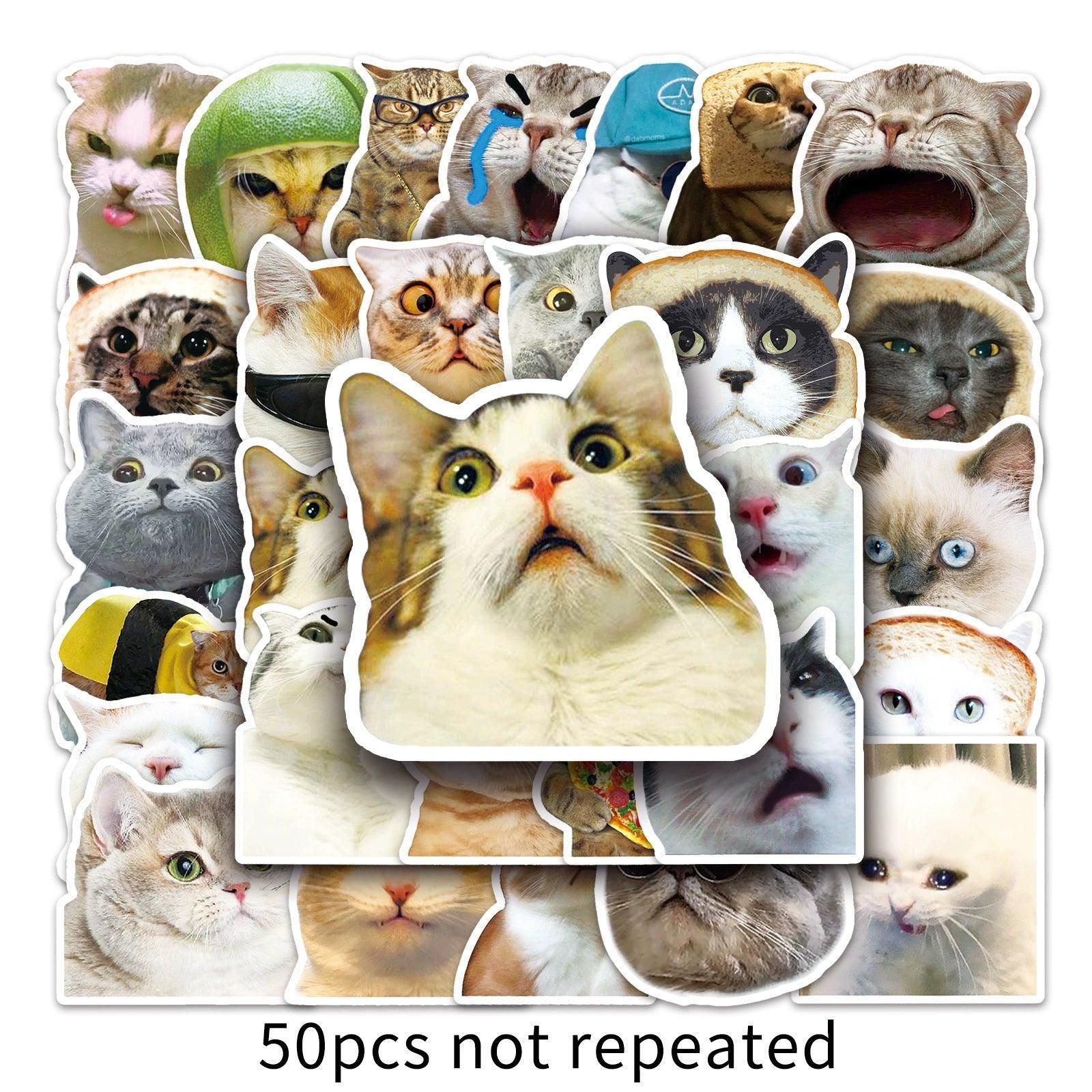 Funny Cute Cat Meme Stickers - Kid Toy for Scrapbooking and Notebooks - ClubOn