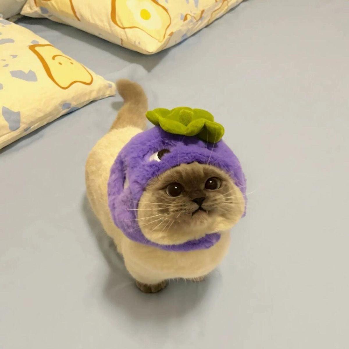 Pet Dog Teddy Bear Rabbit Sequin Bow Tie Collar & Floral Lace Birthday Hat - ClubOn