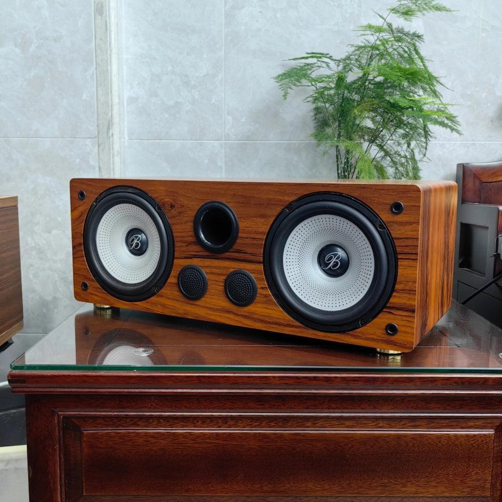 Berlin Sound DIY Home Fever-Grade 3-Way Bookshelf HIFI Speaker – 6.5-Inch with Built-In Amplifier - ClubOn