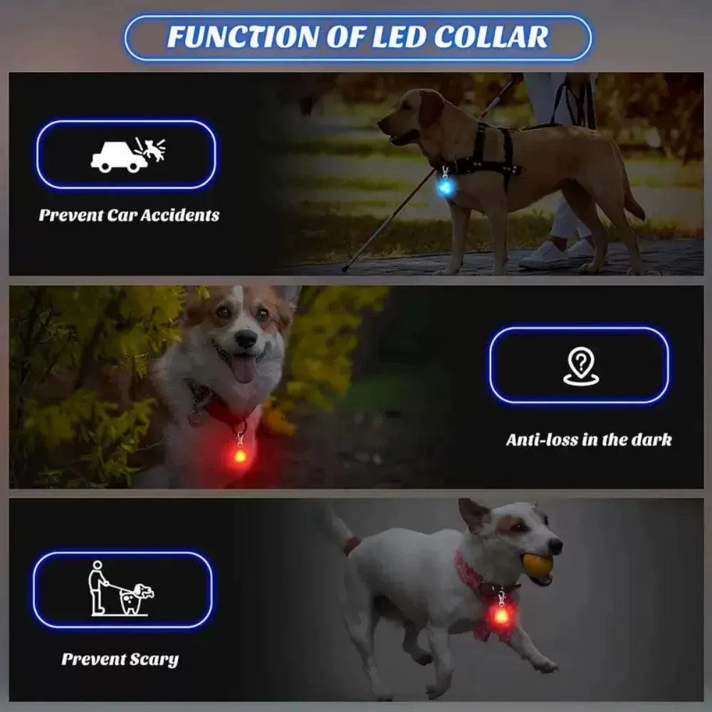 LED Pet Pendant Collar - Waterproof, Outdoor Safety Light for Dogs - ClubOn