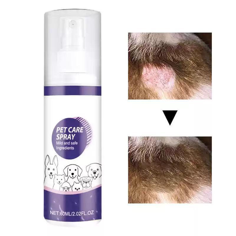 Pet Wound Spray - Skin Care & Healing Aid for Cats and Dogs - ClubOn