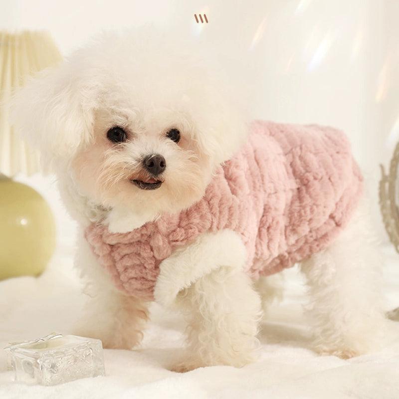 Autumn & Winter Clothes for Small Dogs | Bichon, Teddy, Yorkshire Terrier - ClubOn