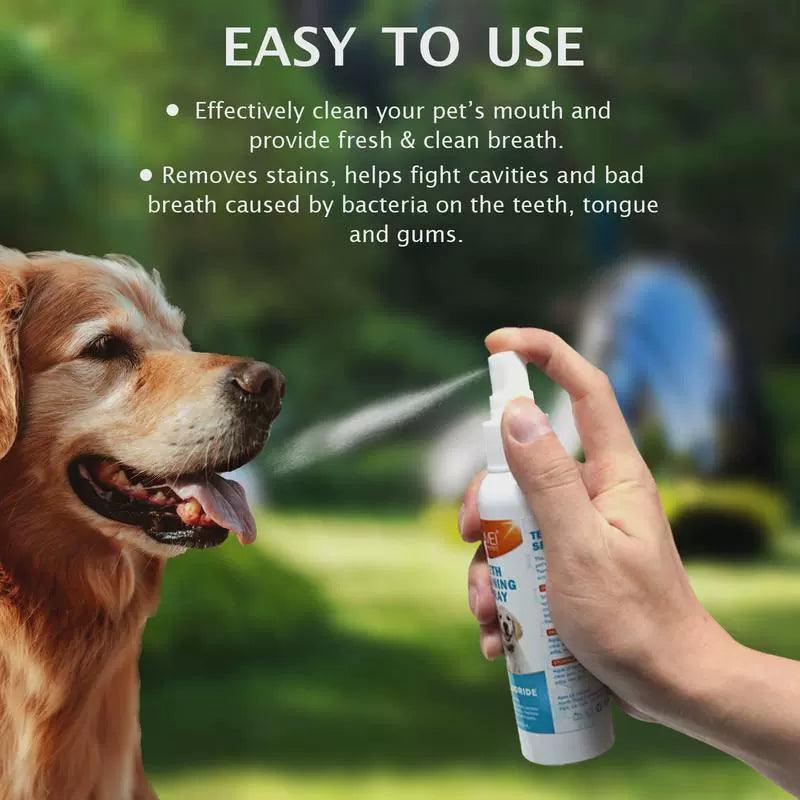 Pet Oral Cleaning Spray | Dog & Cat Oral Care for Fresh Breath - ClubOn