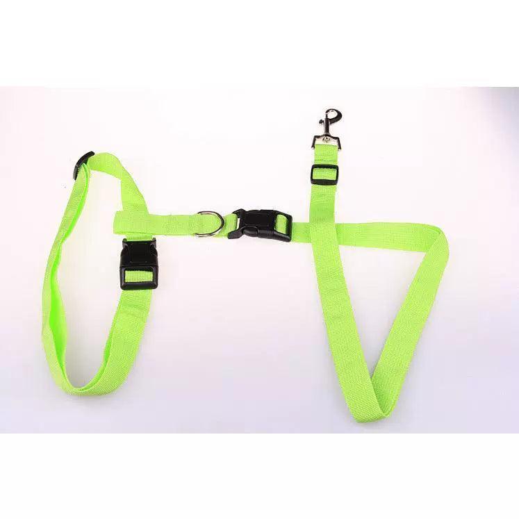 Adjustable Running Pet Traction Rope – Outdoor Dog Training Leash - ClubOn