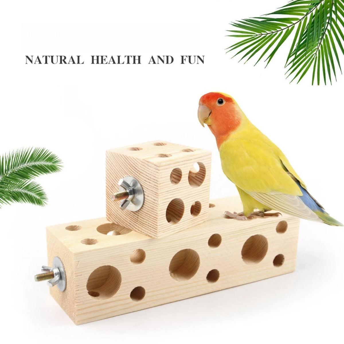 Pine Wood Parrot Bites Rubik's Cube Toy - ClubOn