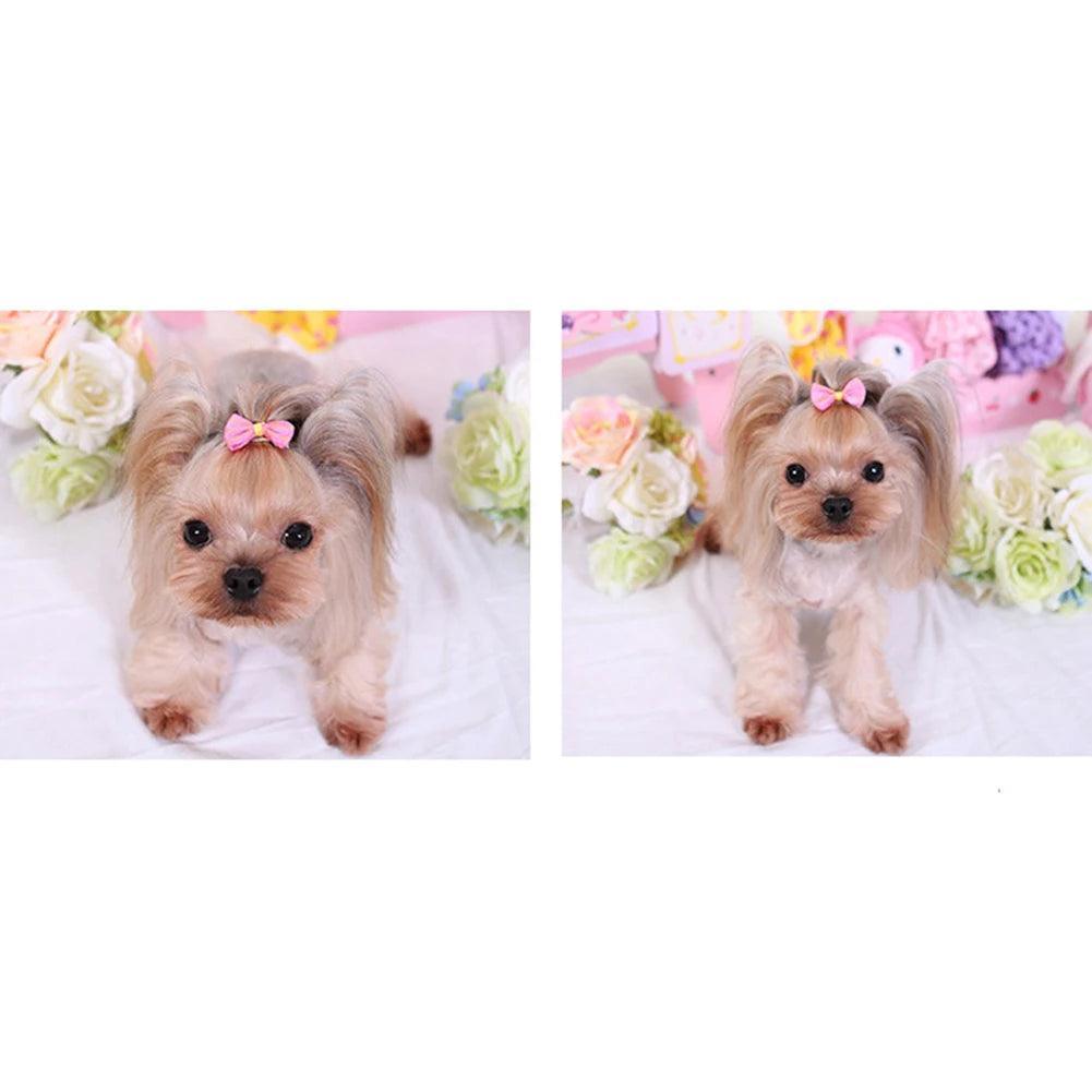 Colorful Cartoon Pet Hair Bows & Clips - ClubOn