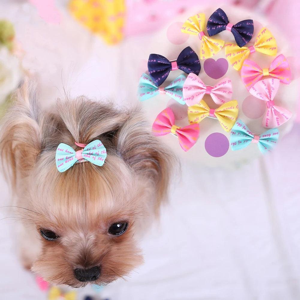 Colorful Cartoon Pet Hair Bows & Clips - ClubOn