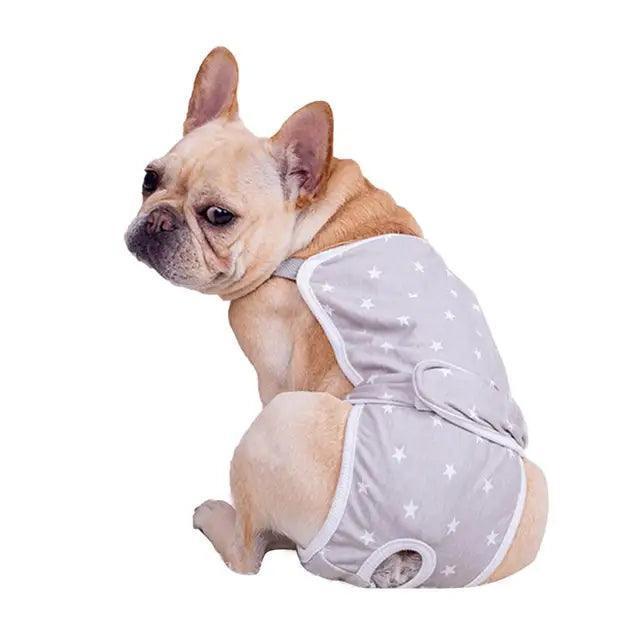 Washable Dog Diaper - Short Pants for Female Dogs - ClubOn