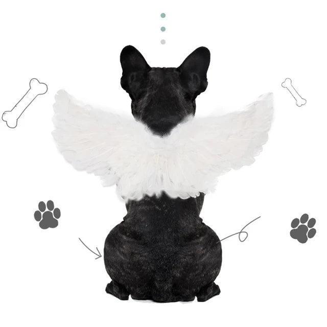 Pet Holiday Feather Wings Costume - Christmas & Halloween - ClubOn