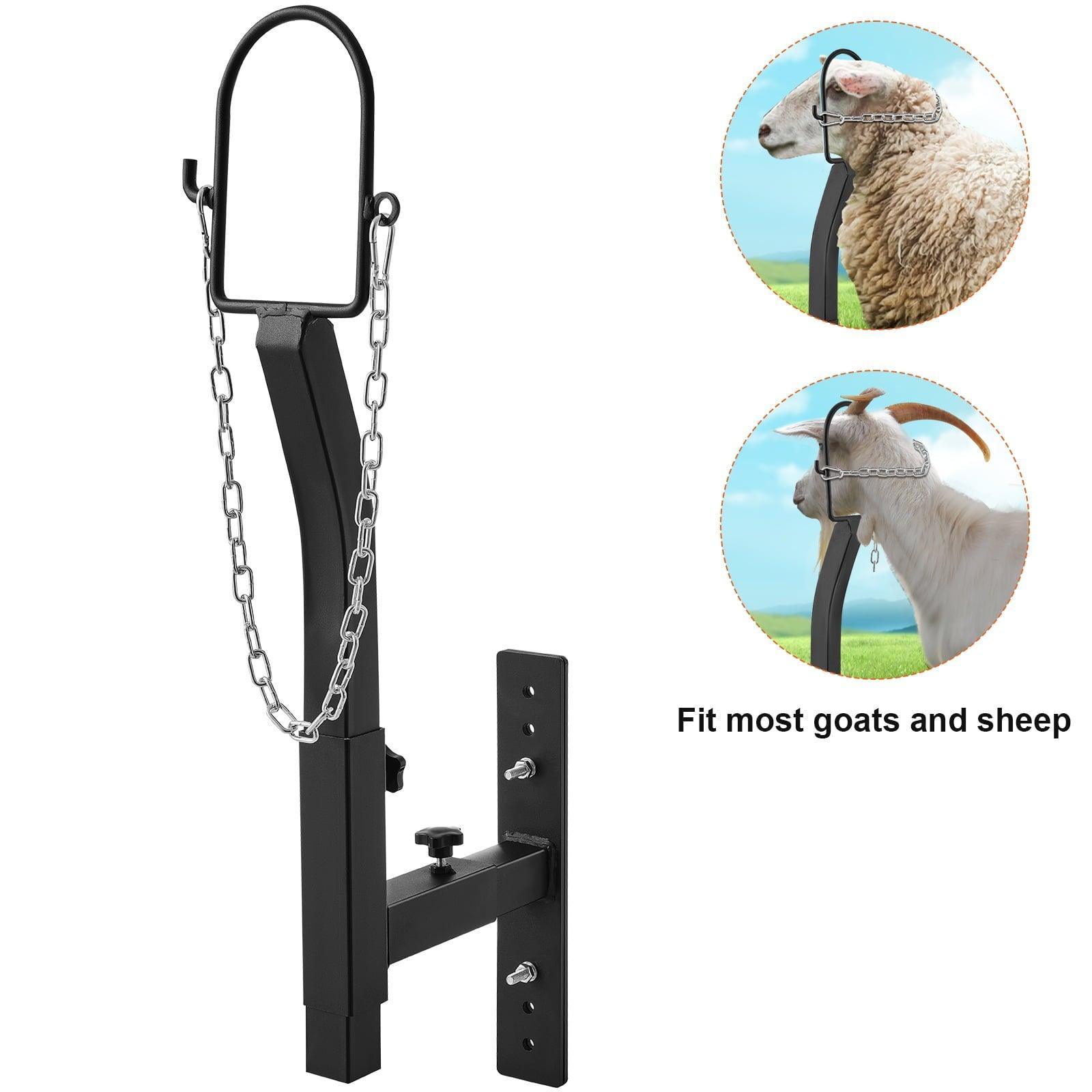 SKYSHALO Animal Grooming Platform – Adjustable Sheep & Goat Stand with Nose Loop for Milking & Shearing (9.37-12.8 in Height) - ClubOn