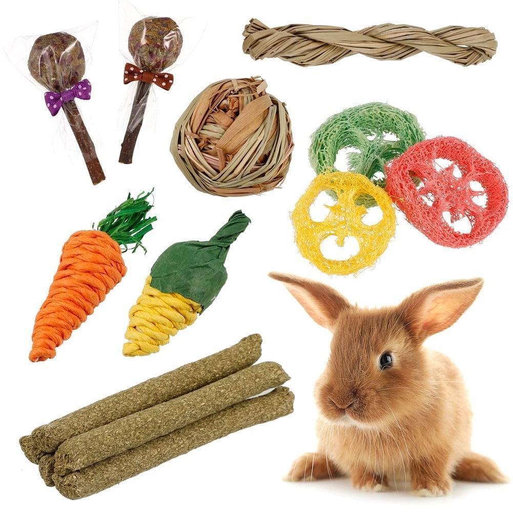 Springcorner 14Pcs Rabbit Toy for Teeth, Chew Toys for Rabbits, Guinea Pigs, Chinchillas, Loofah Wood Balls & Sticks - ClubOn