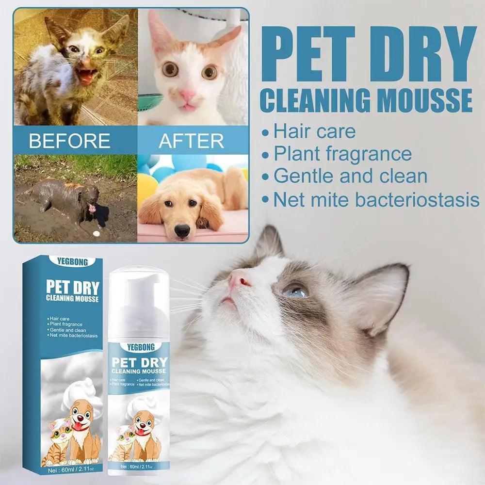 Waterless Cat Shampoo | 60ml Pet Cleaning Mousse - ClubOn