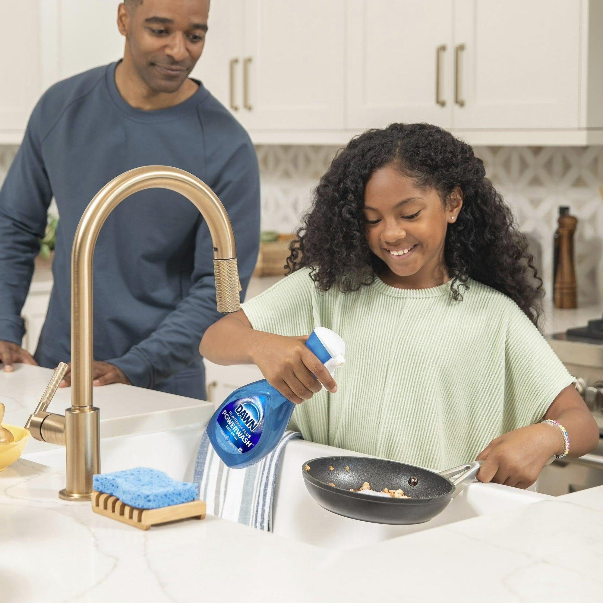 Dawn Powerwash Spray Dish Soap, Fresh Pine Christmas Tree Scent, 16 Fl Oz Starter Kit - ClubOn