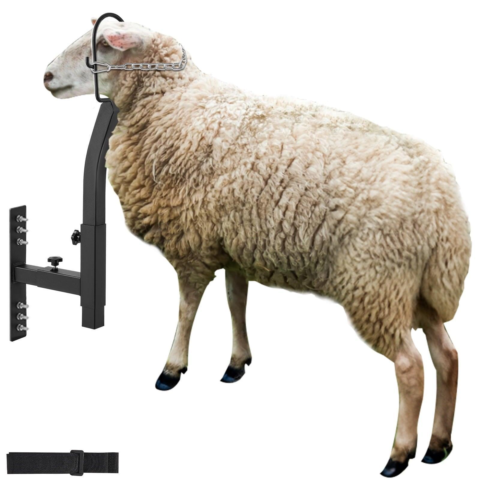 SKYSHALO Animal Grooming Platform – Adjustable Sheep & Goat Stand with Nose Loop for Milking & Shearing (9.37-12.8 in Height) - ClubOn