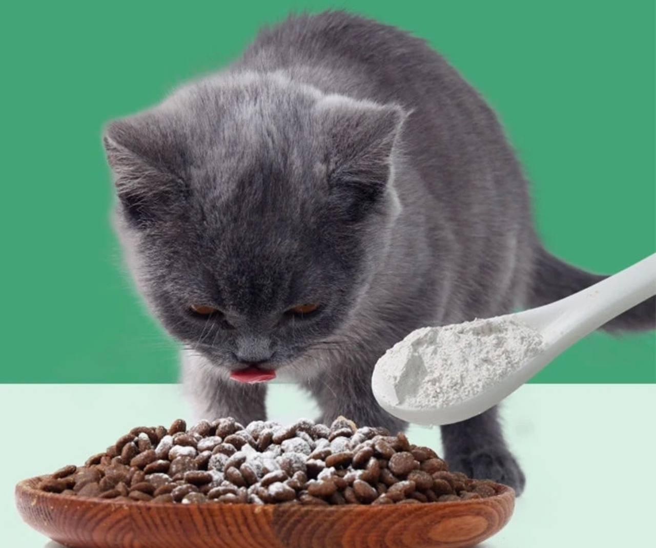 Laughing Pet Teeth Cleaning Powder for Dogs & Cats – Dental Care - ClubOn