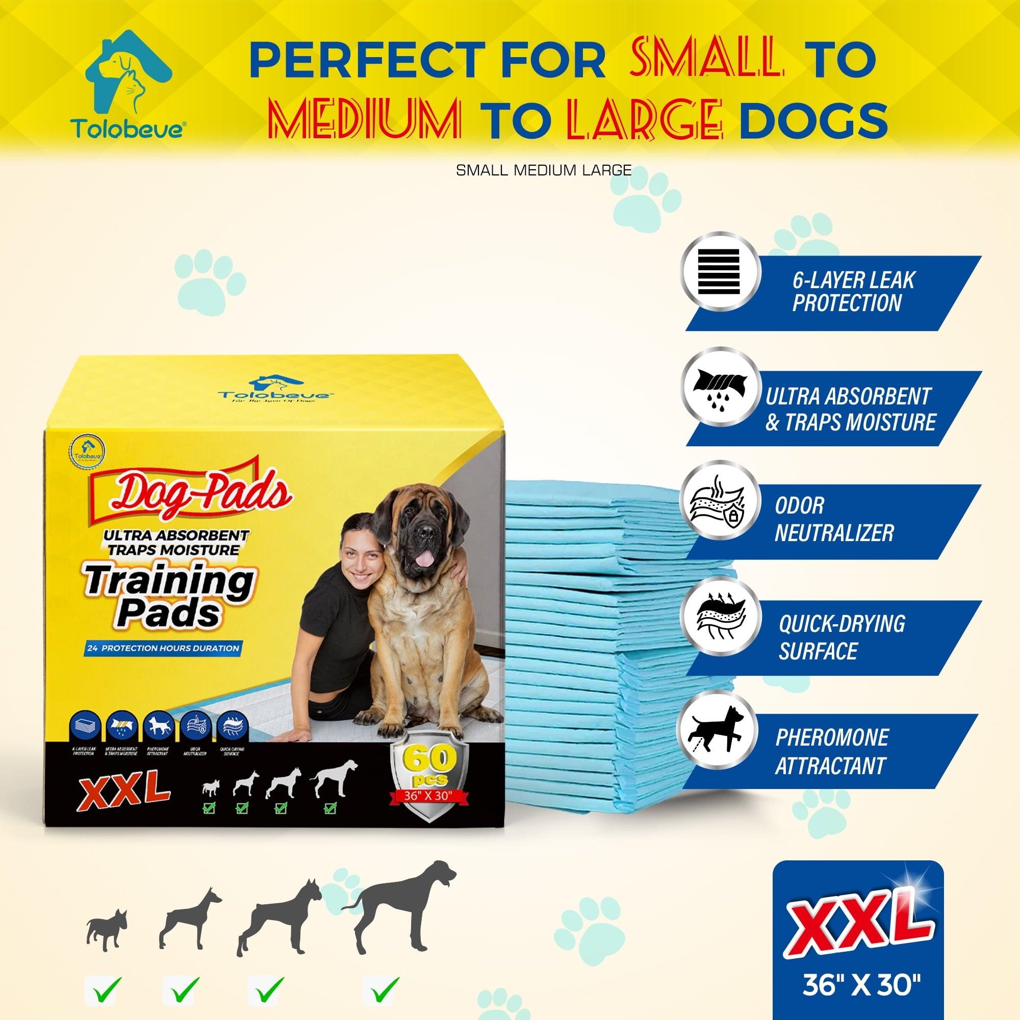 Tolobeve Dog Training Pads, XXL, 30x36 in, 60 Count, Disposable Puppy Pee Pads - ClubOn