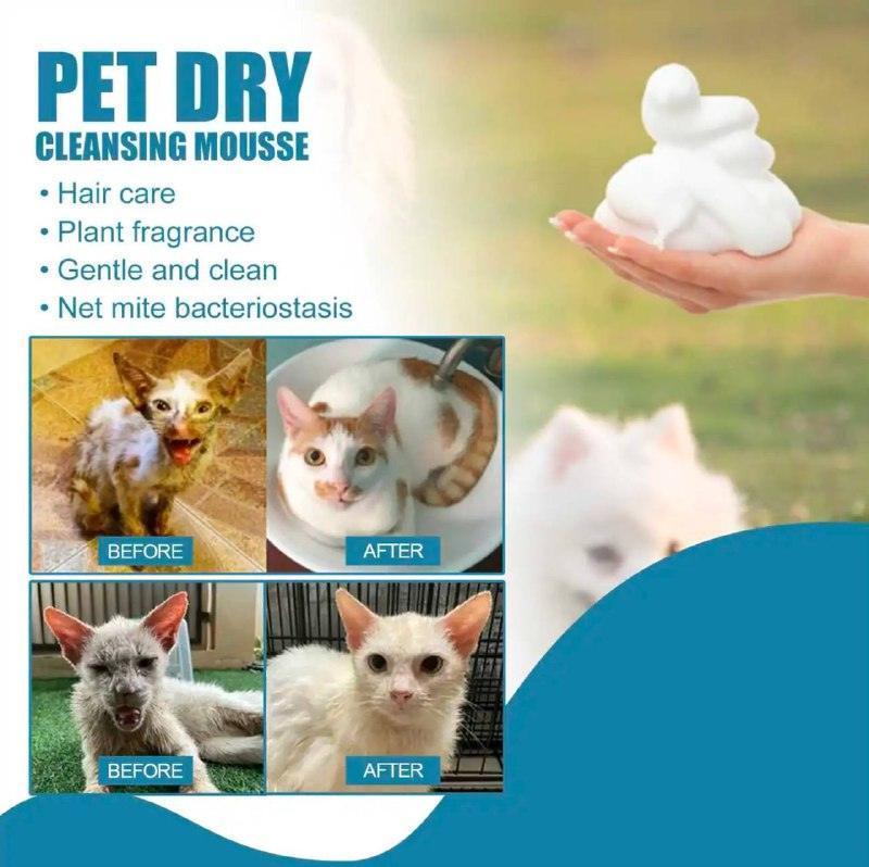 Waterless Cat Shampoo | 60ml Pet Cleaning Mousse - ClubOn
