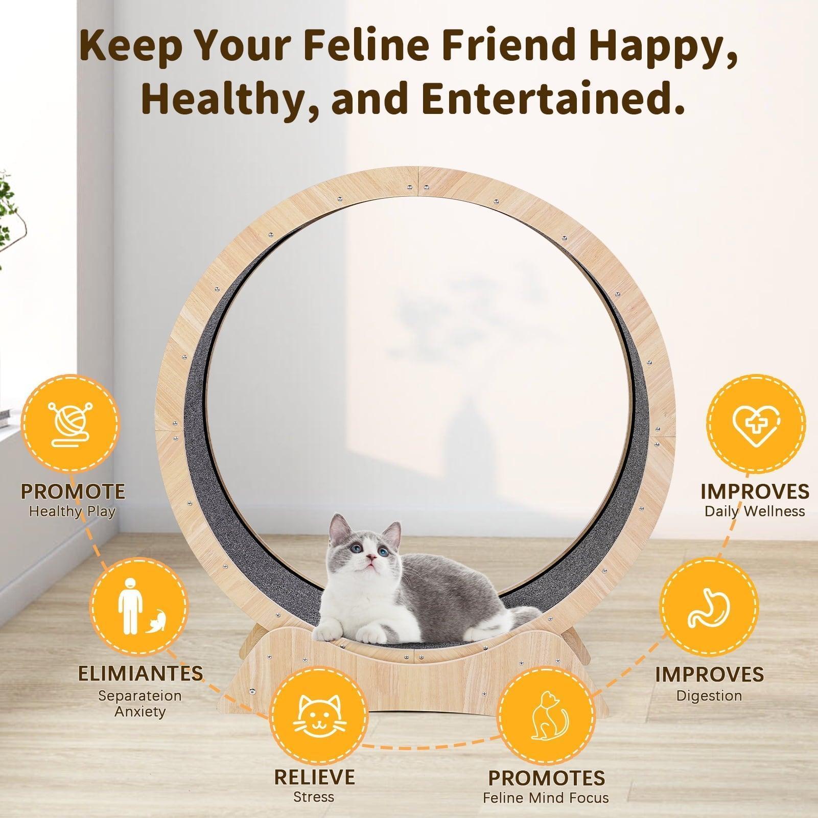 Cat Exercise Wheel for Indoor Cat, 45