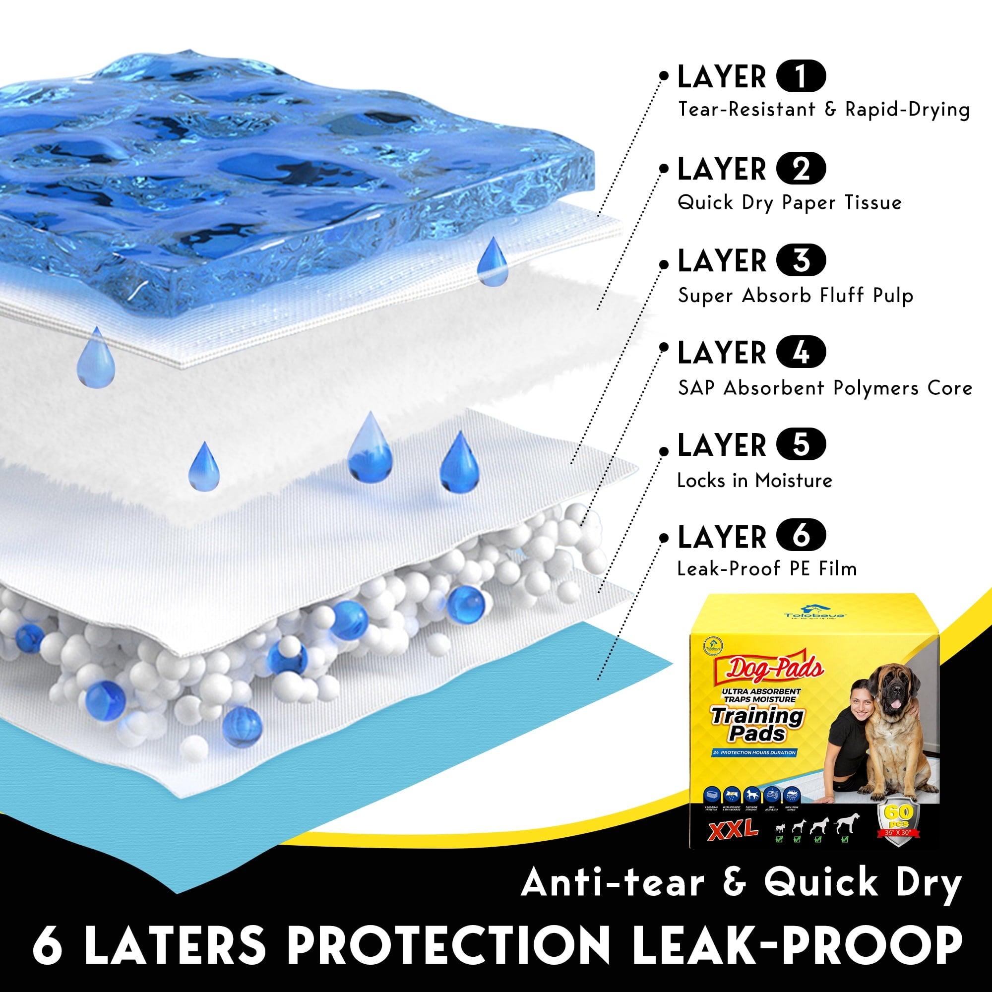 Tolobeve Dog Training Pads, XXL, 30x36 in, 60 Count, Disposable Puppy Pee Pads - ClubOn