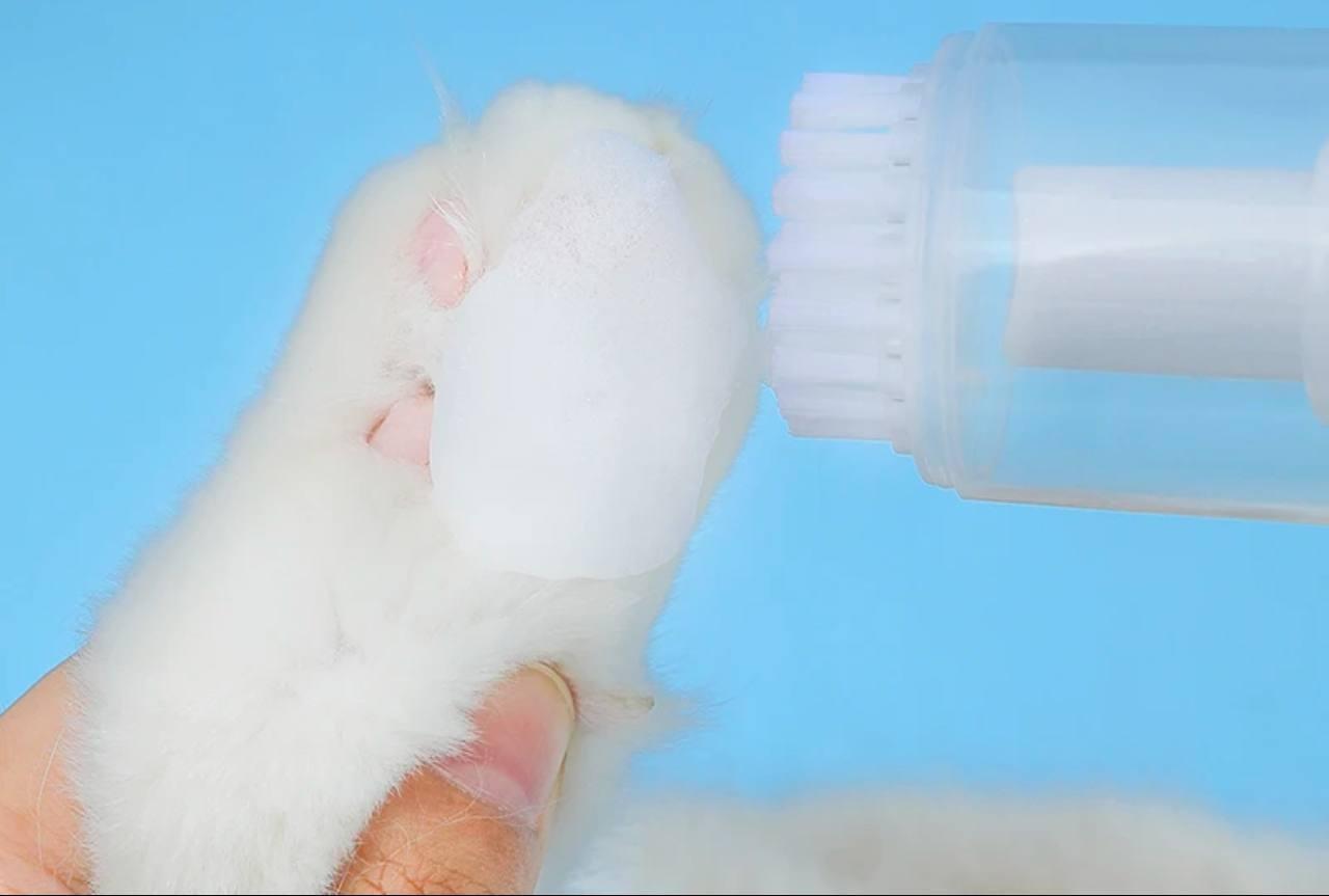 Foaming Cat Dry Shampoo - Waterless Bath Foam for Pets - ClubOn