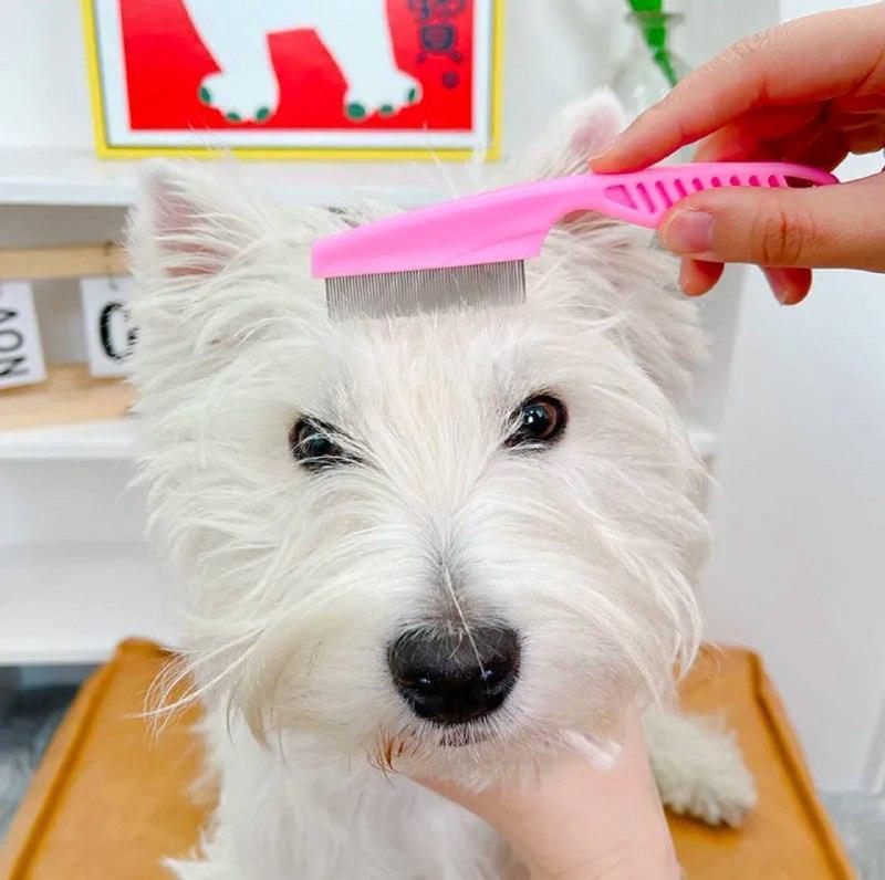 Pet Hair Remover & Flea Cleaner - Grooming Shampoo Bath Brush - ClubOn