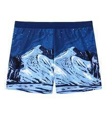 Men’s Swim Trunks – Casual Holiday Swimming Shorts Swimwear - ClubOn